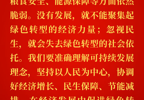 能源金句：習(xí)近平關(guān)于國(guó)家能源安全重要論述（二百零五）